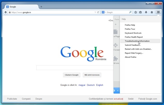 Description: [Image: Troubleshooting Information in Firefox]